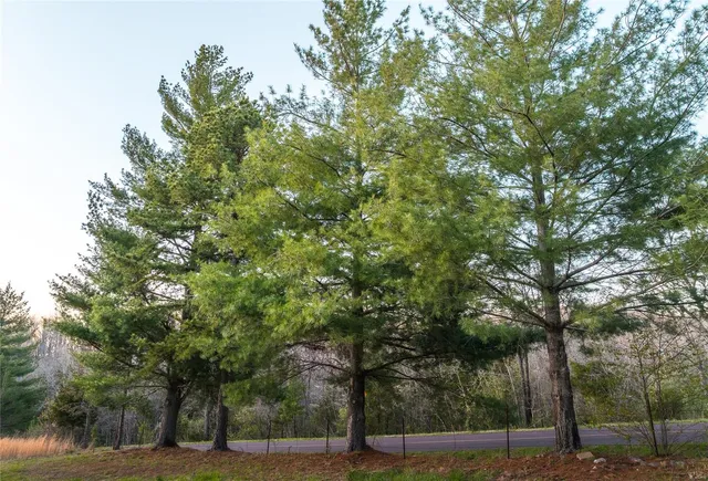 $185,000 | 382 State Hwy V, Steelville, MO 65566