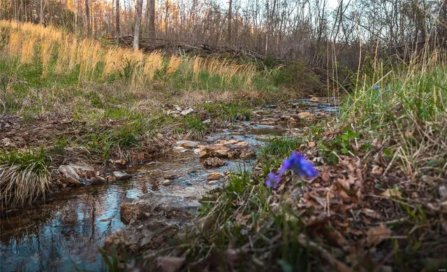 $185,000 | 382 State Hwy V, Steelville, MO 65566