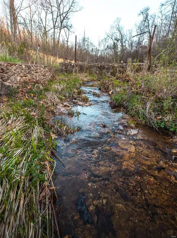 $185,000 | 382 State Hwy V, Steelville, MO 65566