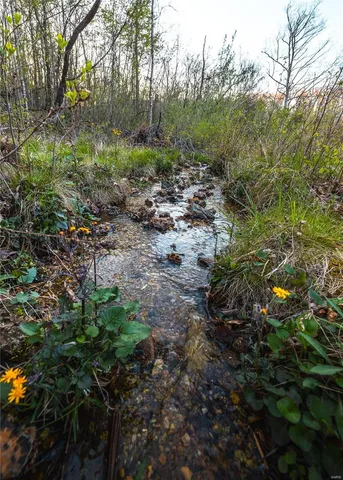 $185,000 | 382 State Hwy V, Steelville, MO 65566