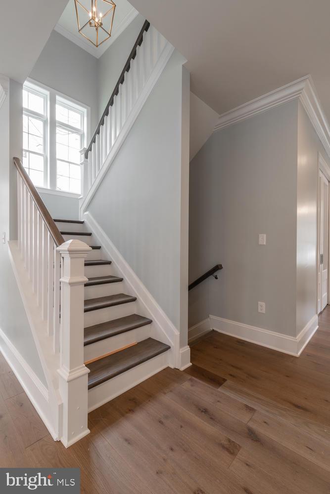 1208 Trinity Drive Alexandria, VA 22314 - Photo 30 of 33