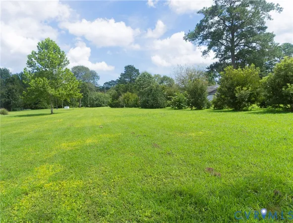a view of a big yard with plants and large trees