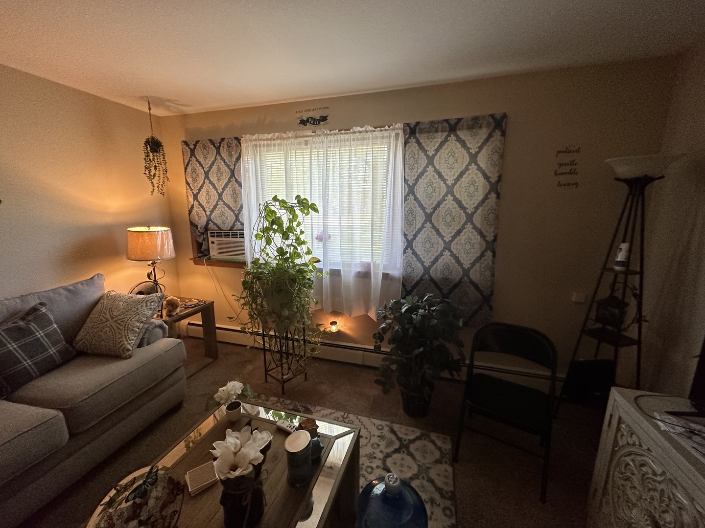 1585 West Station Street Kankakee, IL 60901 - Photo 8 of 12 a living room with furniture and a potted plant