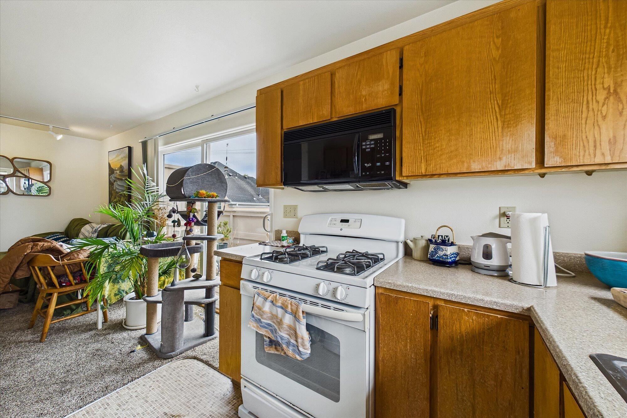 1165 H Street Arcata, CA 95521 - Photo 14 of 50