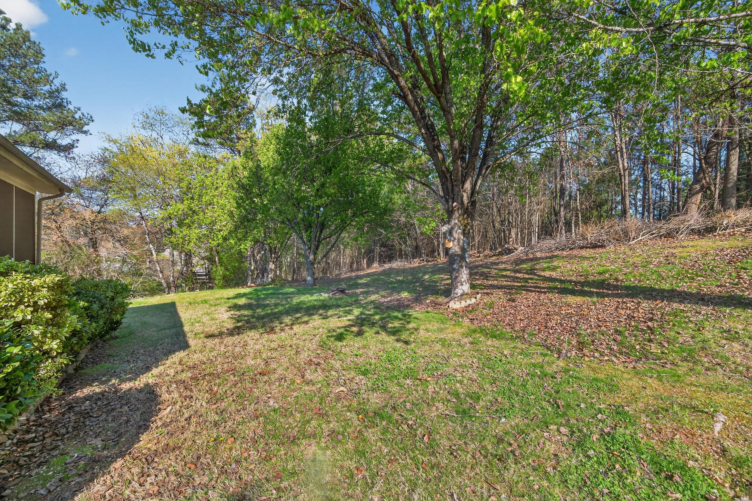 8715 Windhaven Road Ooltewah, TN 37363 - Photo 43 of 46 41-090A9598