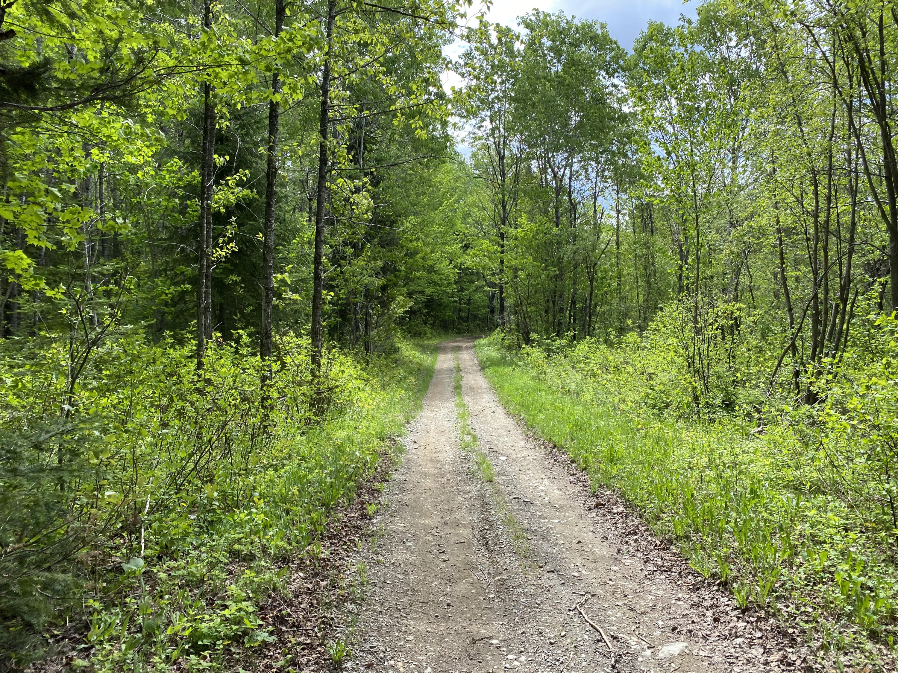 320 Parent Road Van Buren, ME 04785 - Photo 8 of 17 IMG_3666