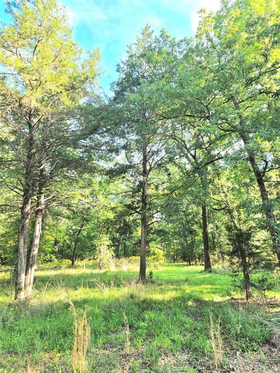 Lot 377 Timber Ridge Larue, TX 75770 - Photo 17 of 39 Another view of Lot 377.