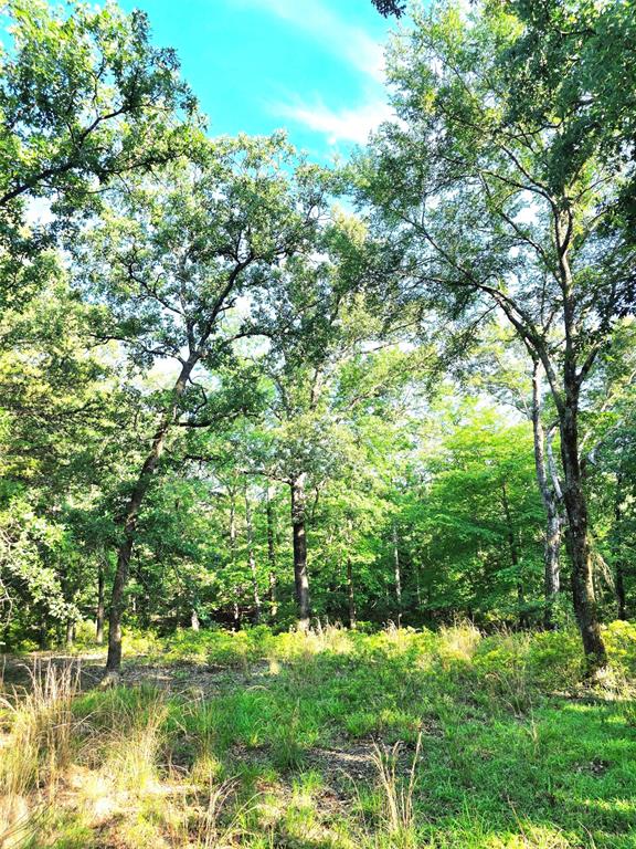 Lot 377 Timber Ridge Larue, TX 75770 - Photo 18 of 39 If living amongst the woods is on your bucket, then this is the lot for you!