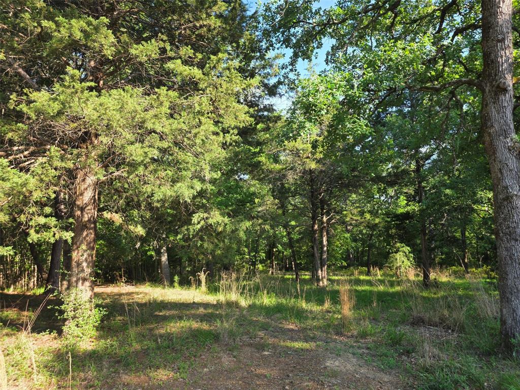Lot 377 Timber Ridge Larue, TX 75770 - Photo 25 of 39 This could be your future driveway at Safari Waters Ranch!
