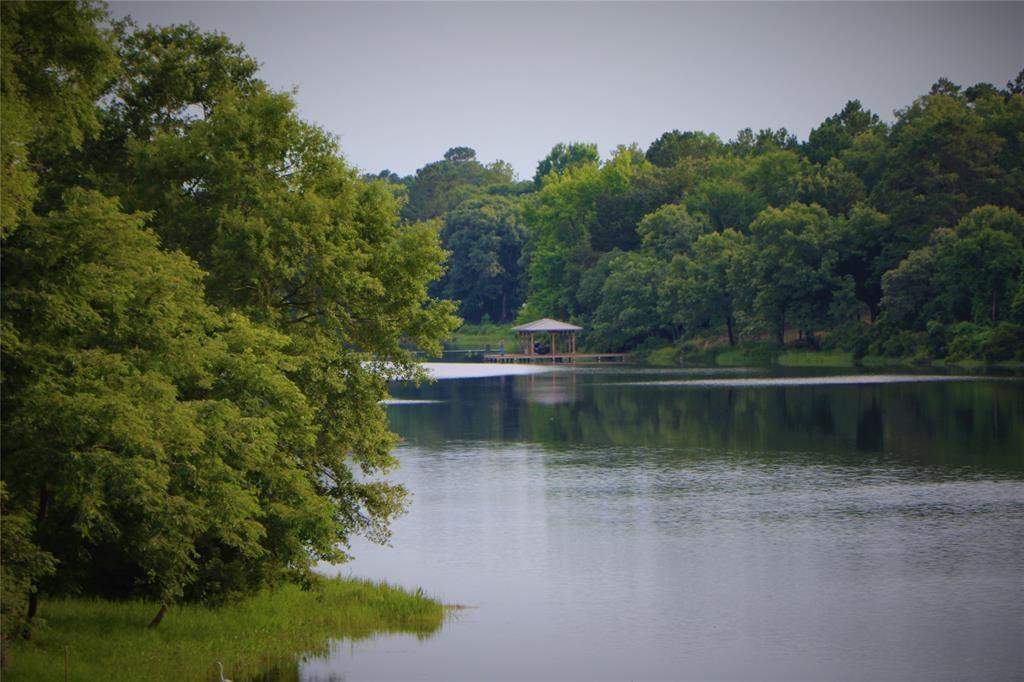 Lot 377 Timber Ridge Larue, TX 75770 - Photo 28 of 39 a view of a lake with a house in the background