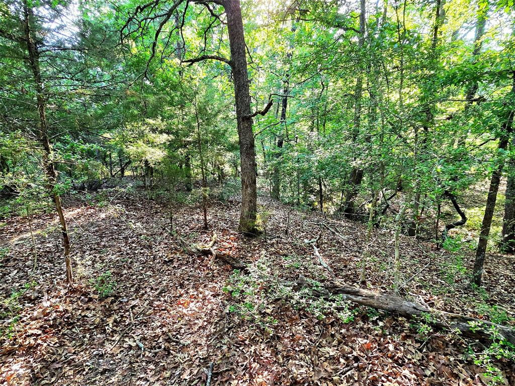Lot 377 Timber Ridge Larue, TX 75770 - Photo 32 of 39 When visiting this lot, be sure to check out the unique peninsula feature that was created by the forks of the wet weather creek that crosses this property. This would make a incredible spot for a fire pit, gazebo or both.