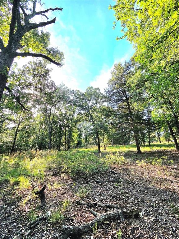 Lot 377 Timber Ridge Larue, TX 75770 - Photo 33 of 39 Looking towards the street, this is the likely building site for a home on this lot.