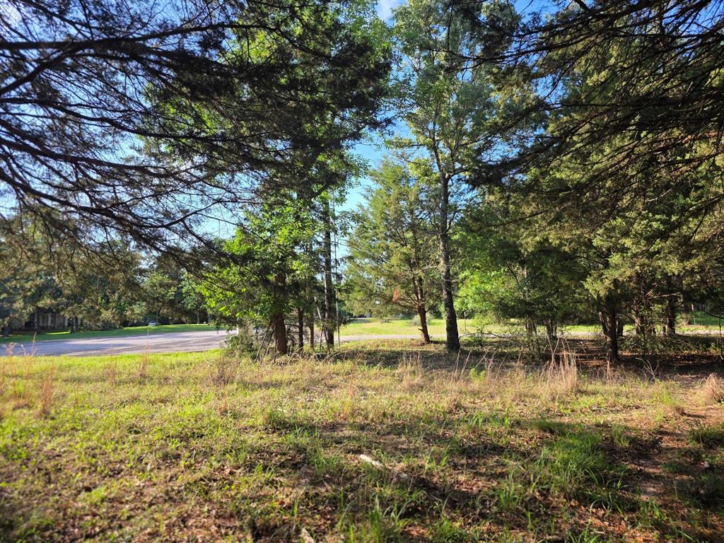 Lot 377 Timber Ridge Larue, TX 75770 - Photo 36 of 39