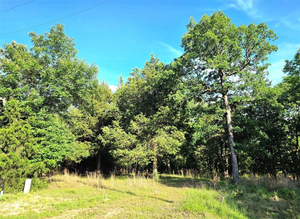 Lot 377 Timber Ridge Larue, TX 75770 - Photo 39 of 39