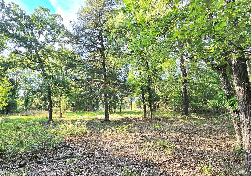 Lot 377 Timber Ridge Larue, TX 75770 - Photo 5 of 39 a view of outdoor space with deck and yard
