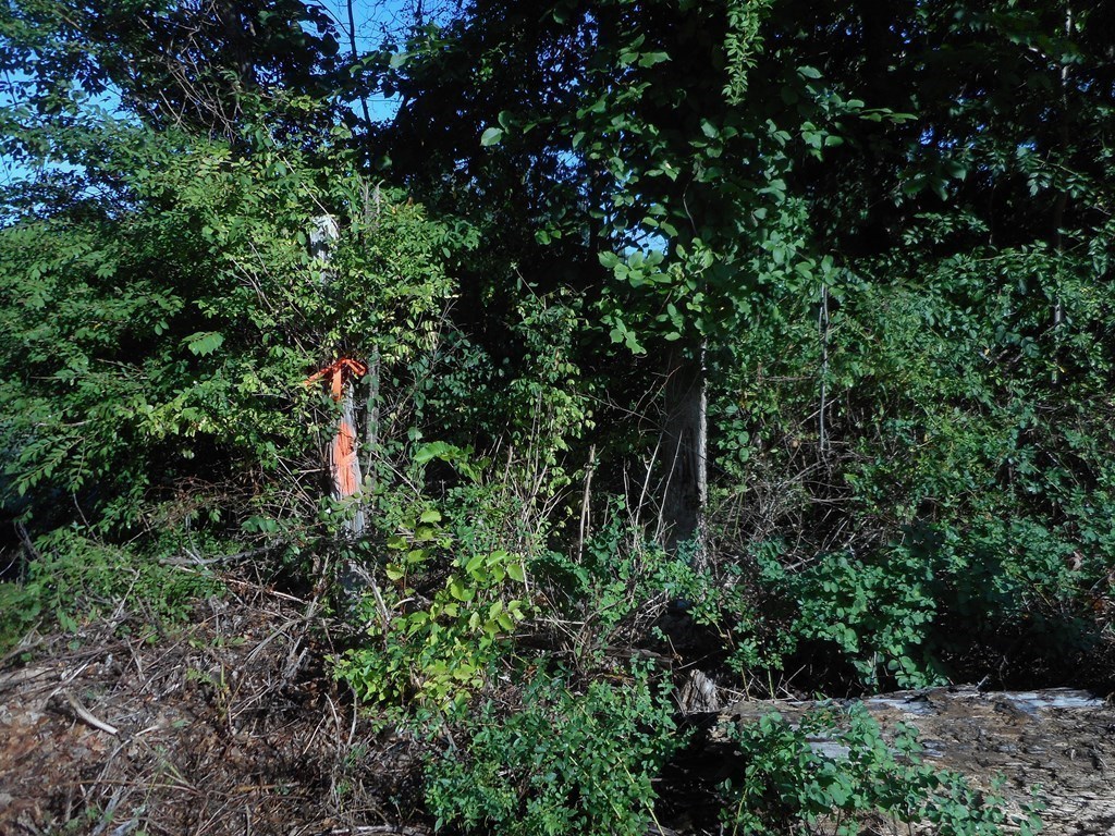Lot 2 Sackett Road Westfield, MA 01085 - Photo 9 of 12 Gallery Image 9