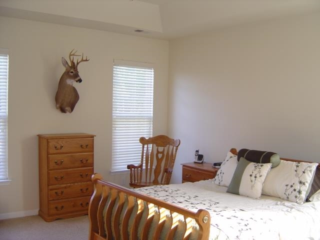 209 Willow Ridge Road Westminster, SC 29693 - Photo 8 of 21 Gallery Image 8