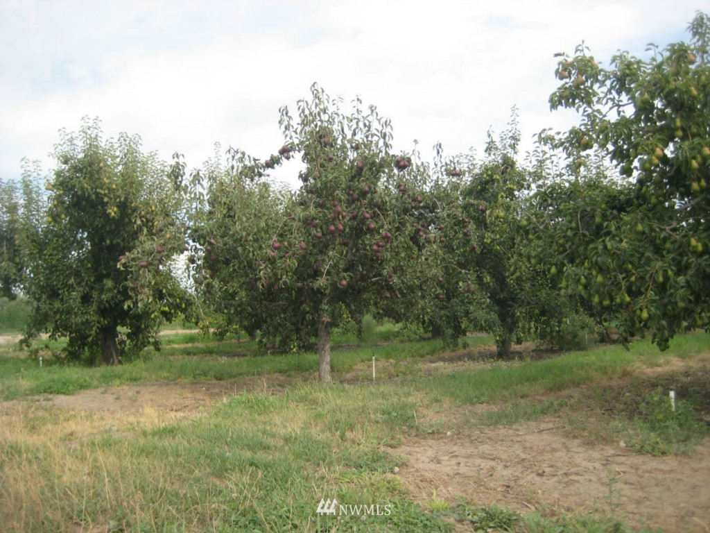102 Christensen Road Othello, WA 99344 - Photo 13 of 16 Gallery Image 13