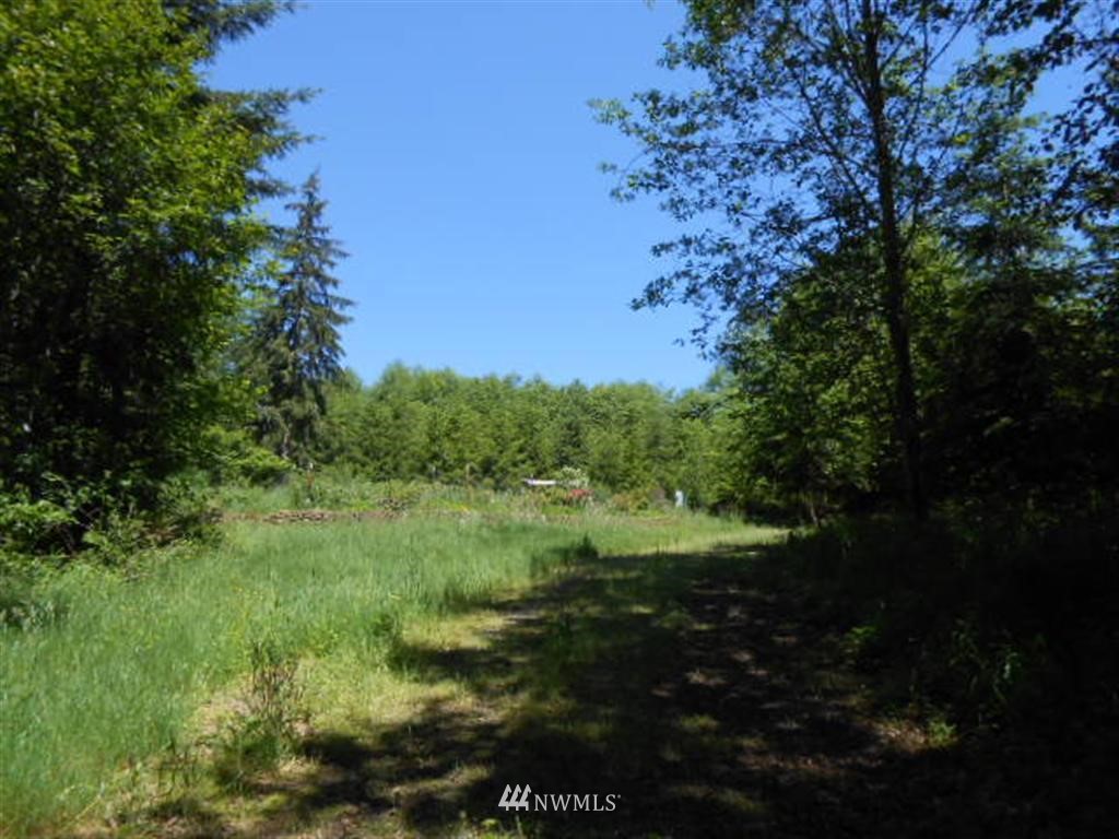 230-20 Koons Road Mossyrock, WA 98564 - Photo 1 of 1 Gallery Image 1