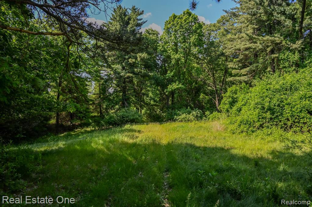 1832 West Commerce Road Milford, MI 48380 - Photo 3 of 13