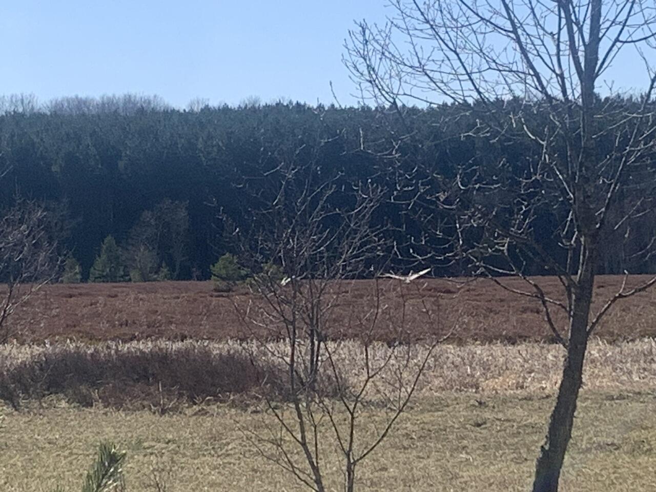 North Sherman Road Frederic, MI 49733 - Photo 16 of 22