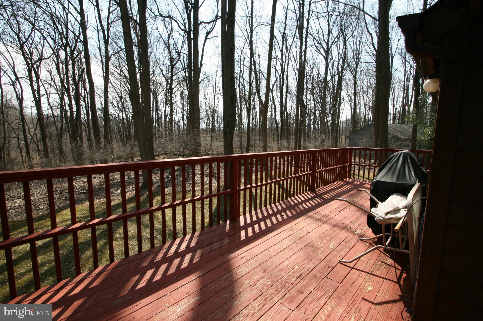9529 White Spring Way Columbia, MD 21046 - Photo 29 of 30 Deck with amazing view