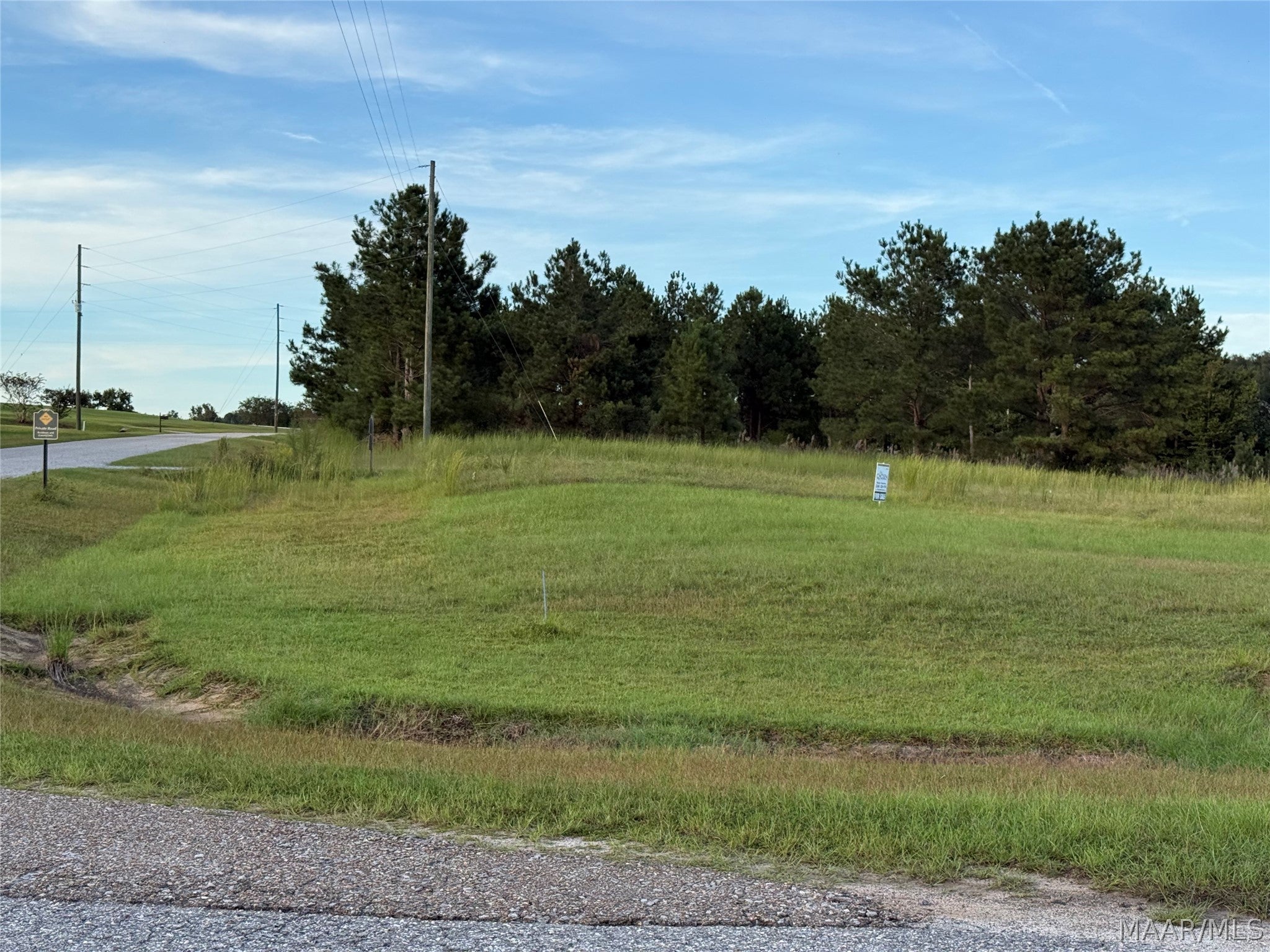 Lot 4 Chesson Court Fitzpatrick, AL 36029 - Photo 13 of 16 Gallery Image 13