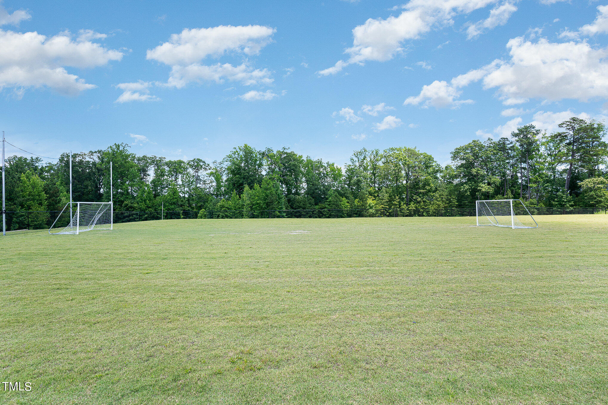 2455 Tonoloway Drive Raleigh, NC 27610 - Photo 27 of 31 Free Space for sports