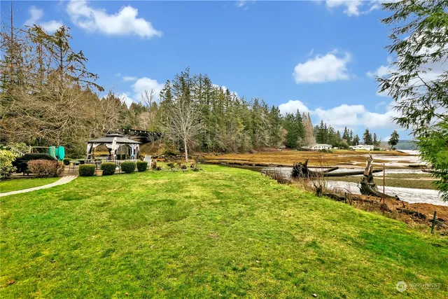 a view of a park with large trees