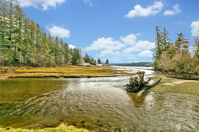 a view of a swimming pool with an ocean view