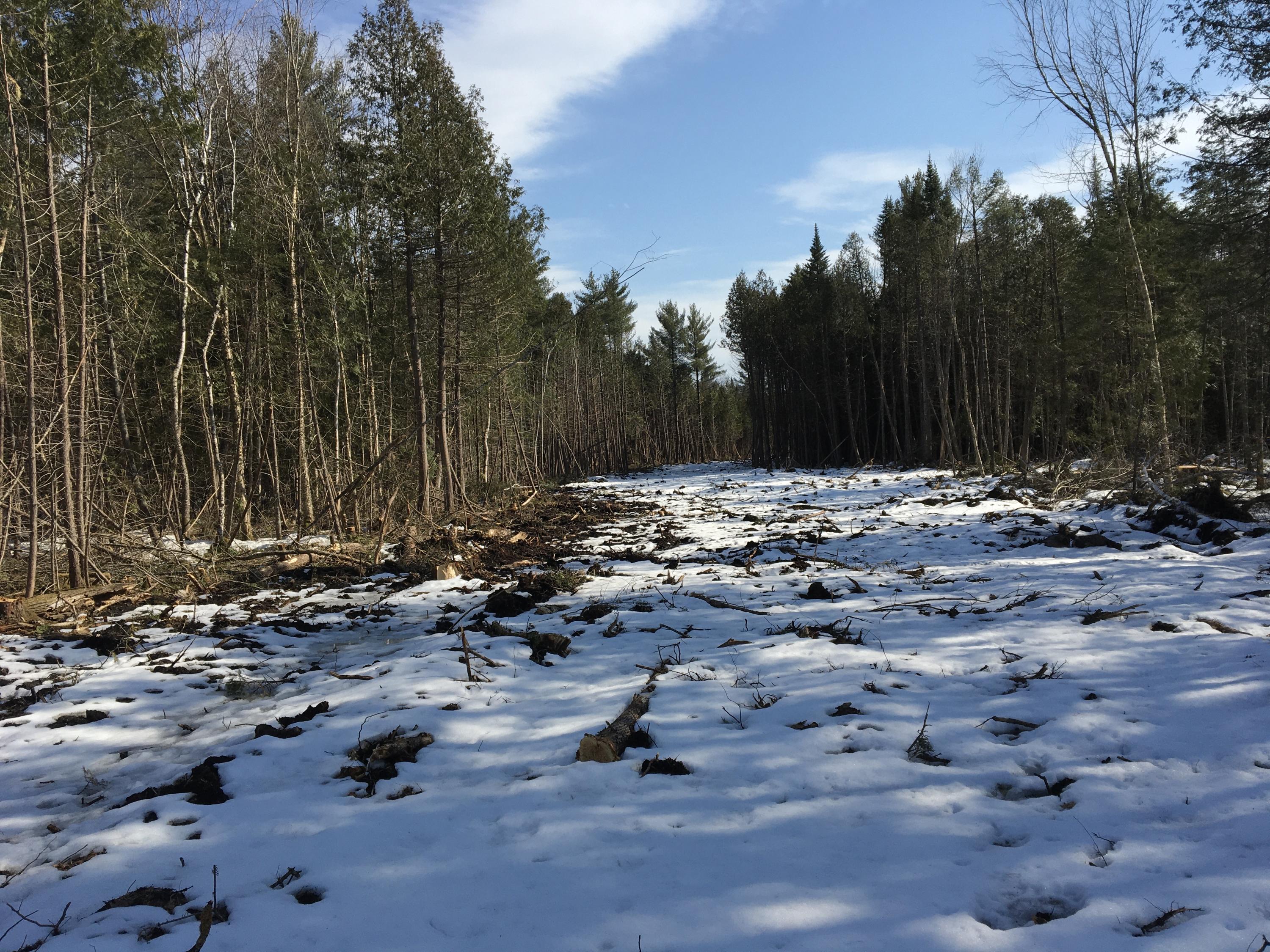 566 Warren Hill Road Palmyra, ME 04965 - Photo 1 of 12 IMG_3148