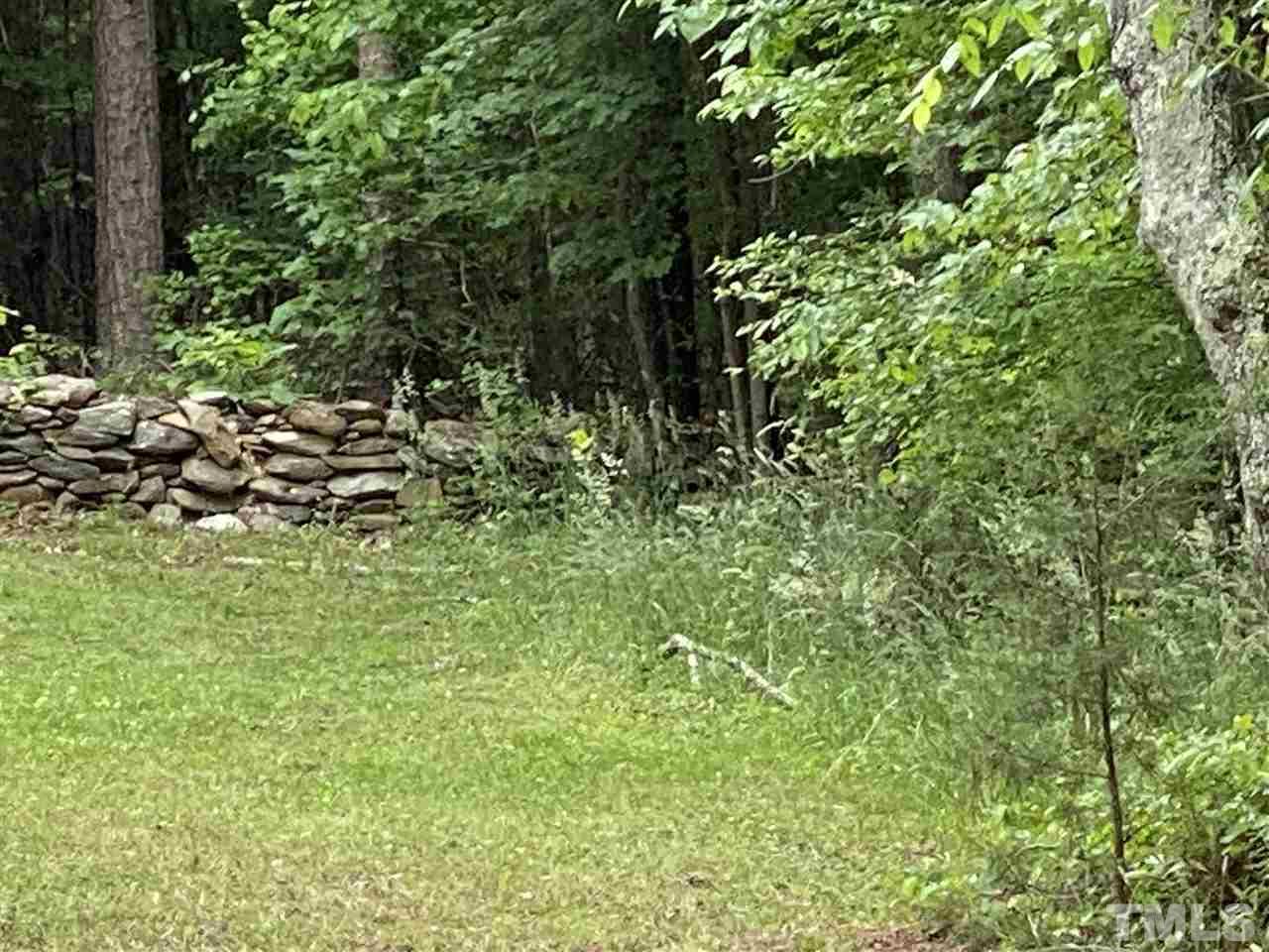 1816 Harris Road Rougemont, NC 27572 - Photo 5 of 12 a view of a lush green forest