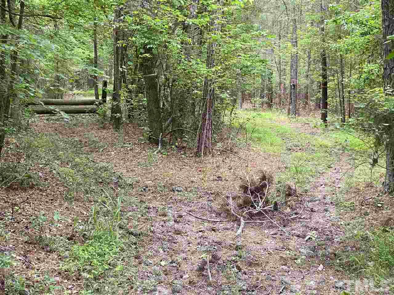 1816 Harris Road Rougemont, NC 27572 - Photo 8 of 12 a view of a forest with trees in the background