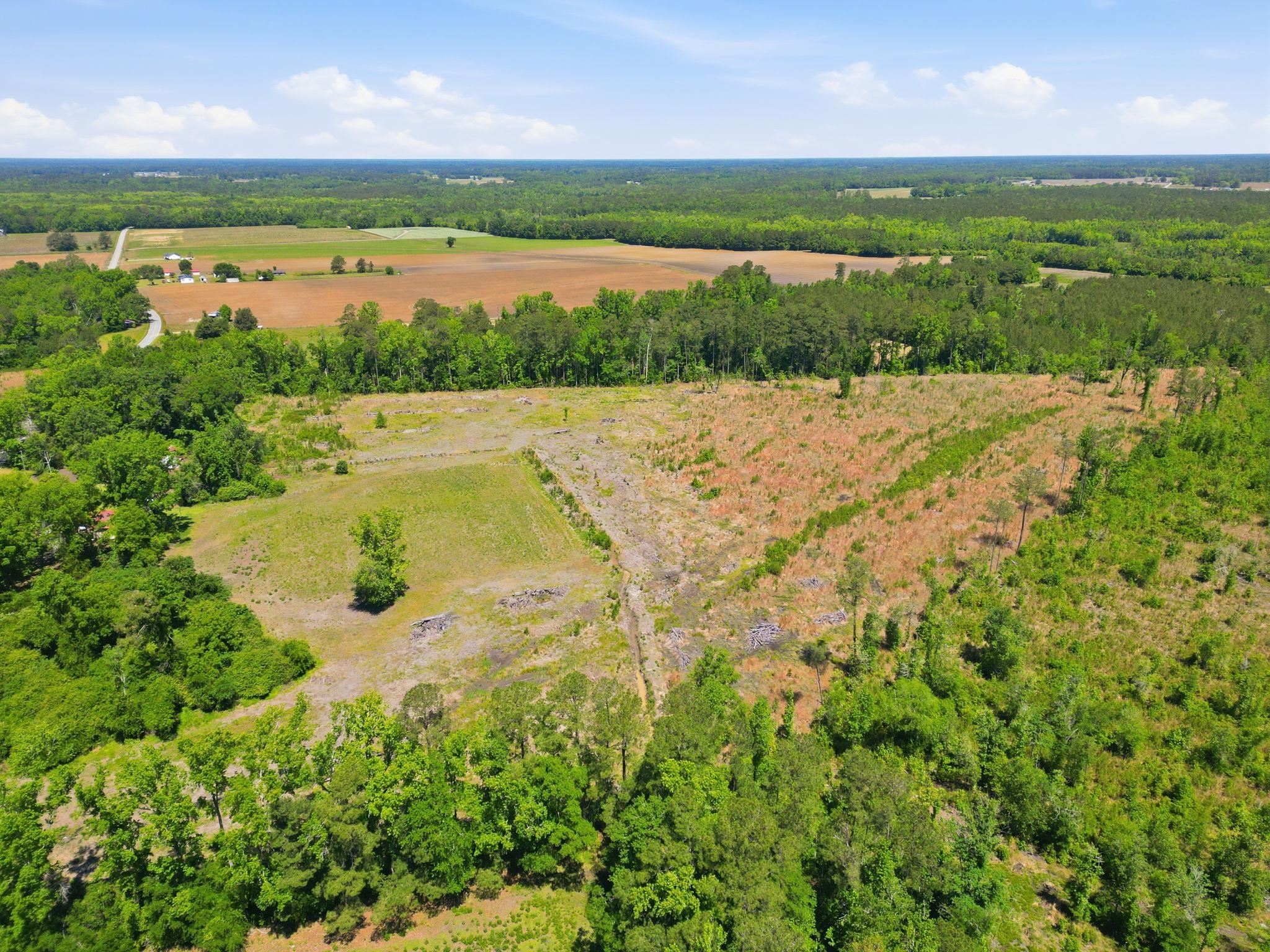 792 Highway 792 Loris, SC 29569 - Photo 9 of 16
