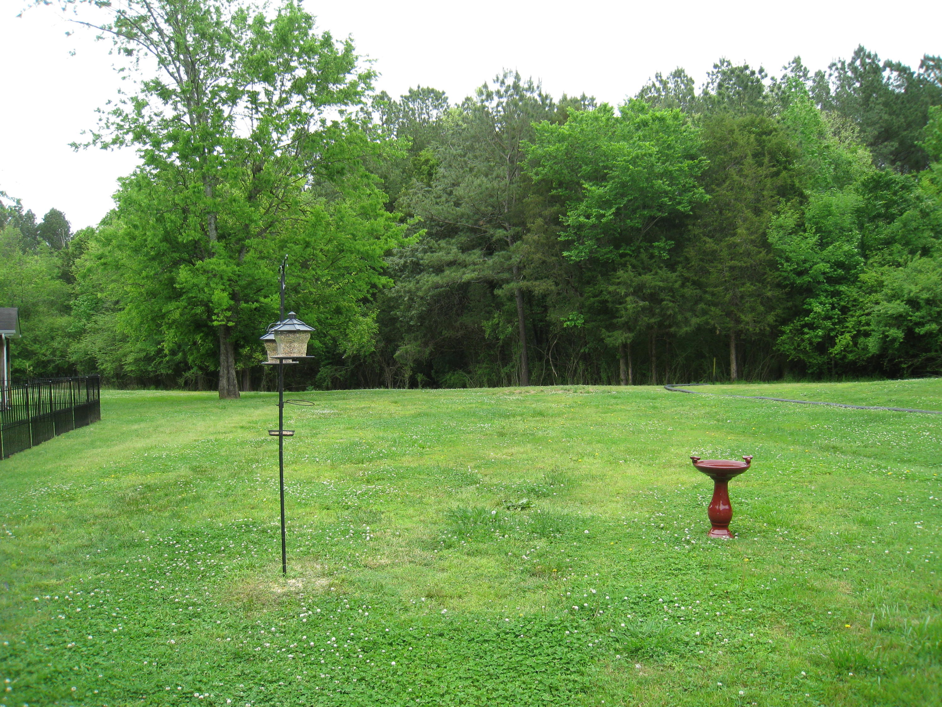 2468 North Hunter Bend Road Decatur, TN 37322 - Photo 24 of 28 IMG_2930