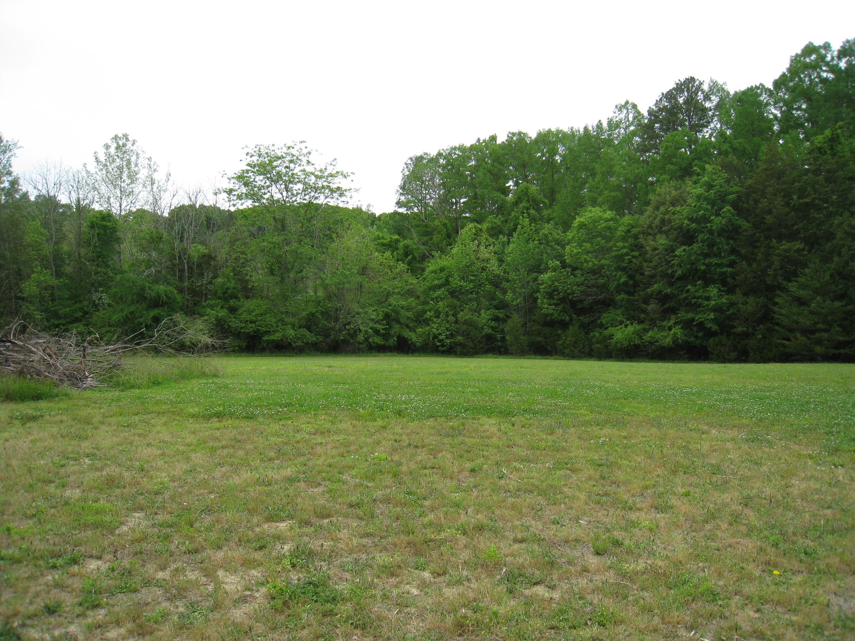 2468 North Hunter Bend Road Decatur, TN 37322 - Photo 27 of 28 IMG_2937