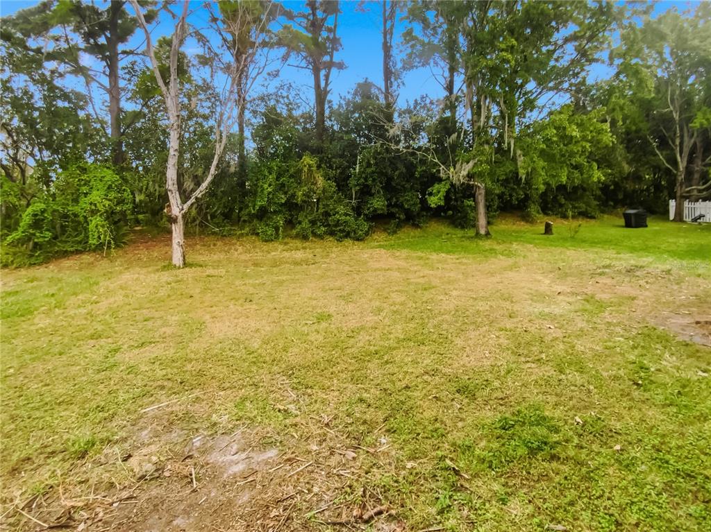 4307 Rustic Pine Place Wesley Chapel, FL 33544 - Photo 18 of 38 a view of a yard with trees