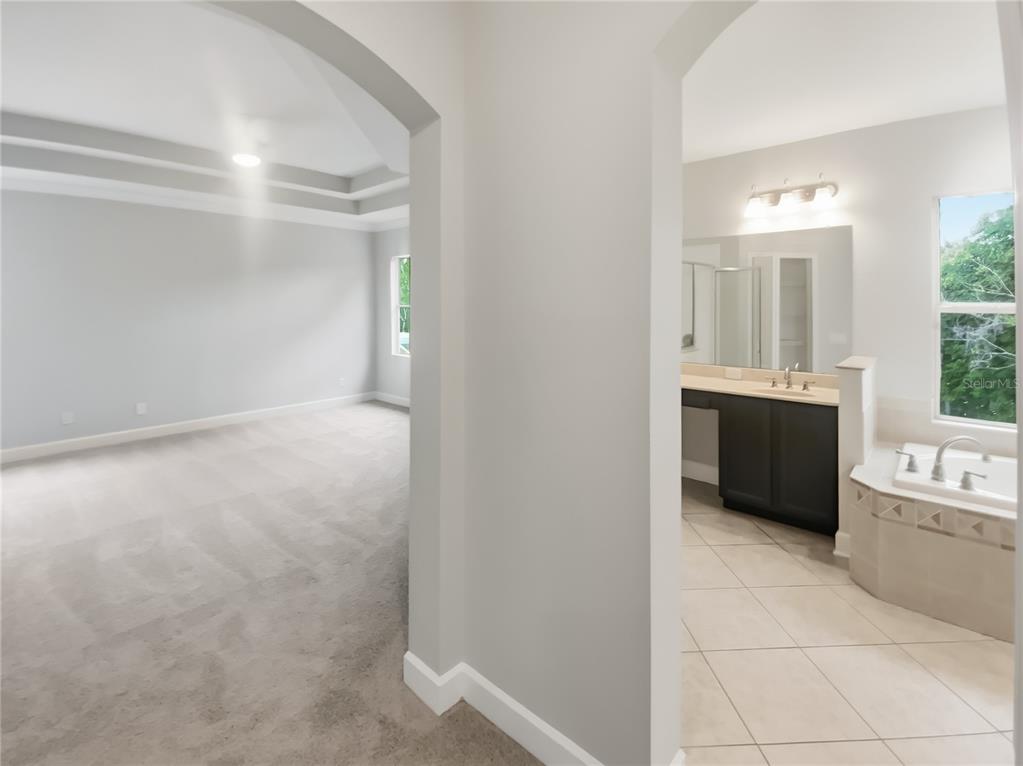 4307 Rustic Pine Place Wesley Chapel, FL 33544 - Photo 22 of 38 a bathroom with a bathtub sink mirror vanity and toilet