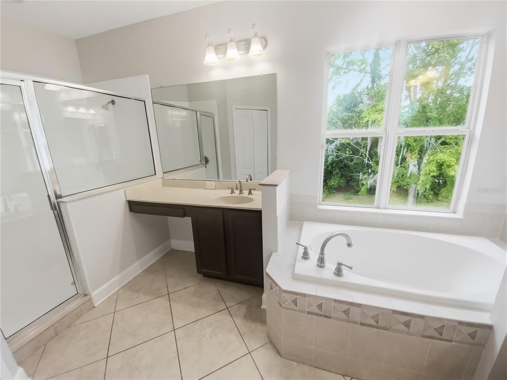 4307 Rustic Pine Place Wesley Chapel, FL 33544 - Photo 23 of 38 a spacious bathroom with a bathtub and a sink
