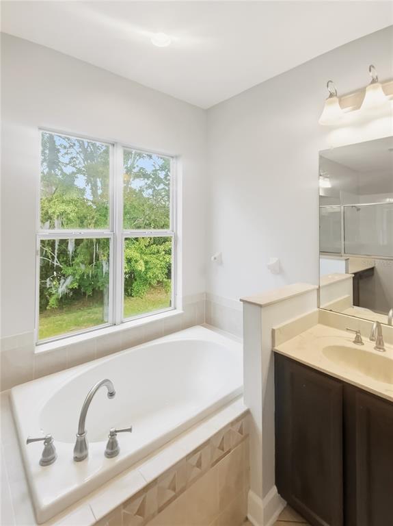 4307 Rustic Pine Place Wesley Chapel, FL 33544 - Photo 24 of 38 a bathroom with a tub sink and mirror