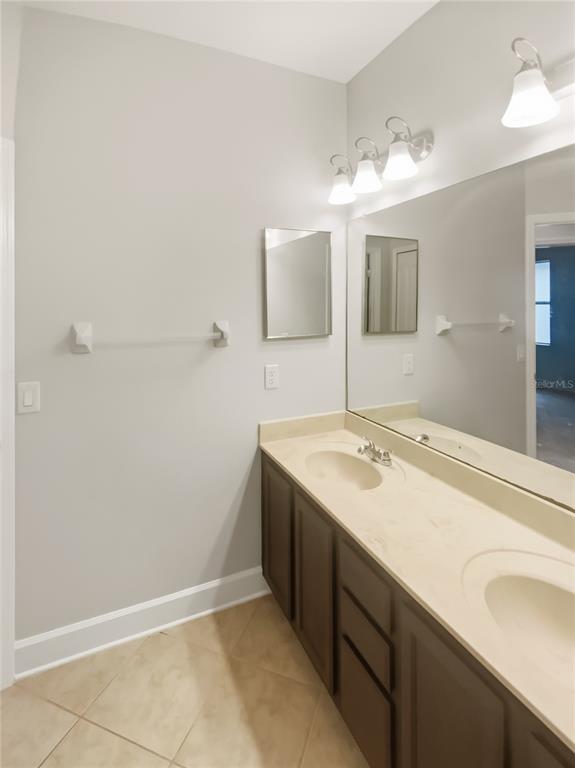 4307 Rustic Pine Place Wesley Chapel, FL 33544 - Photo 33 of 38 a bathroom with a sink and a mirror