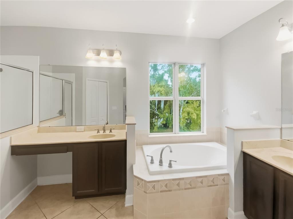 4307 Rustic Pine Place Wesley Chapel, FL 33544 - Photo 5 of 38 a bathroom with a sink and a bathtub
