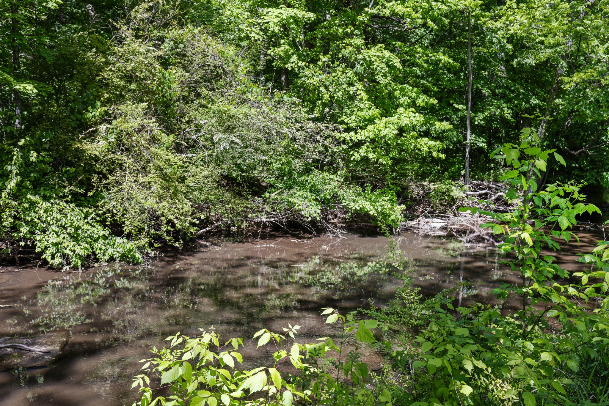 2524 Distillery Road Greenbrier, TN 37073 - Photo 45 of 46 Gallery Image 45