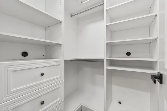 a view of a backyard with a plants and palm trees