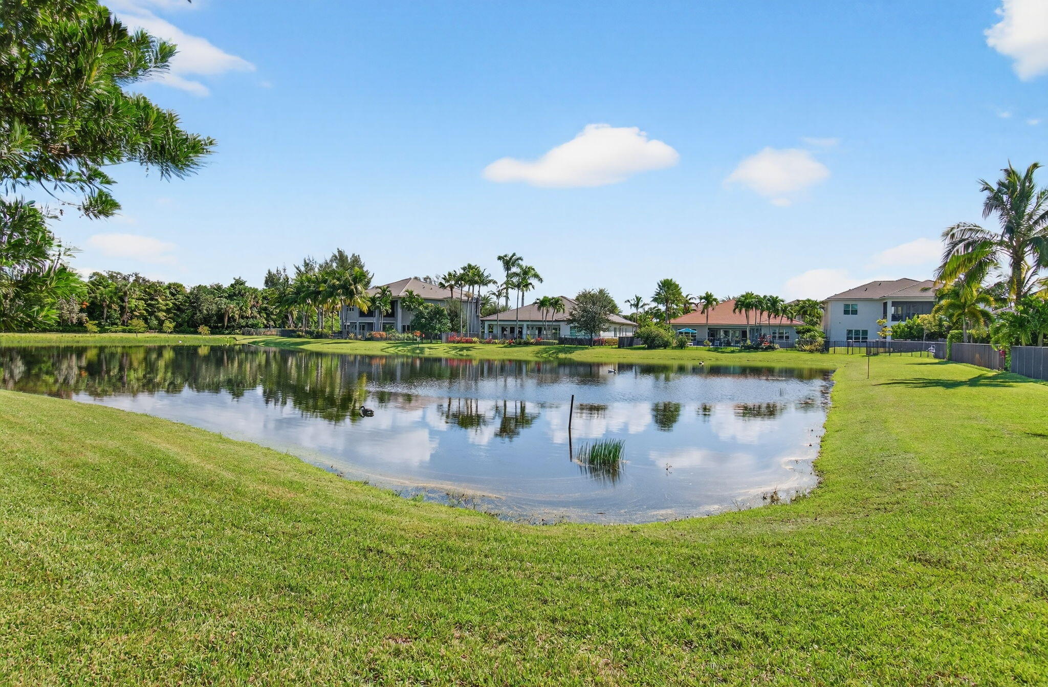 19886 Meadowside Lane Boca Raton, FL 33498 - Photo 58 of 84 a view of a lake with a big yard