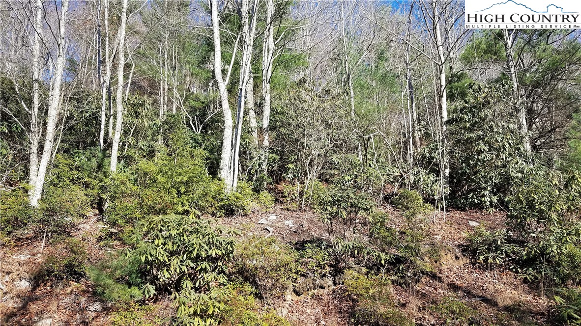 324 Jackpine Road Beech Mountain, NC 28604 - Photo 1 of 4