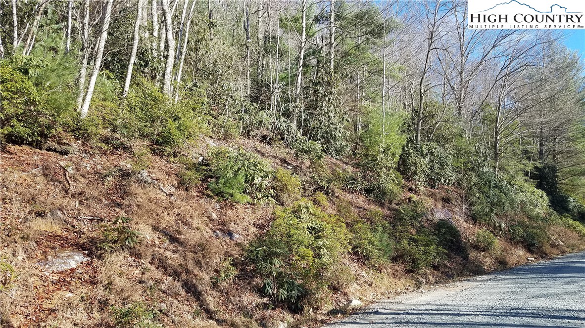 324 Jackpine Road Beech Mountain, NC 28604 - Photo 2 of 4