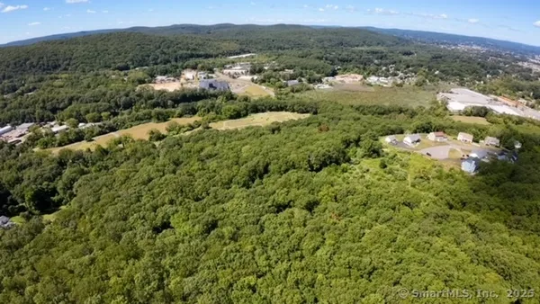 a view of a green field with lots of bushes