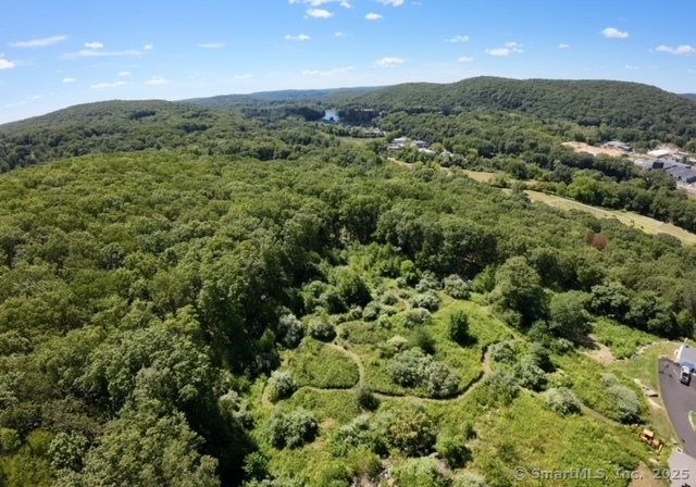 Undisclosed Address Bethel, CT 06801 - Photo 3 of 13 a view of a green field with lots of bushes