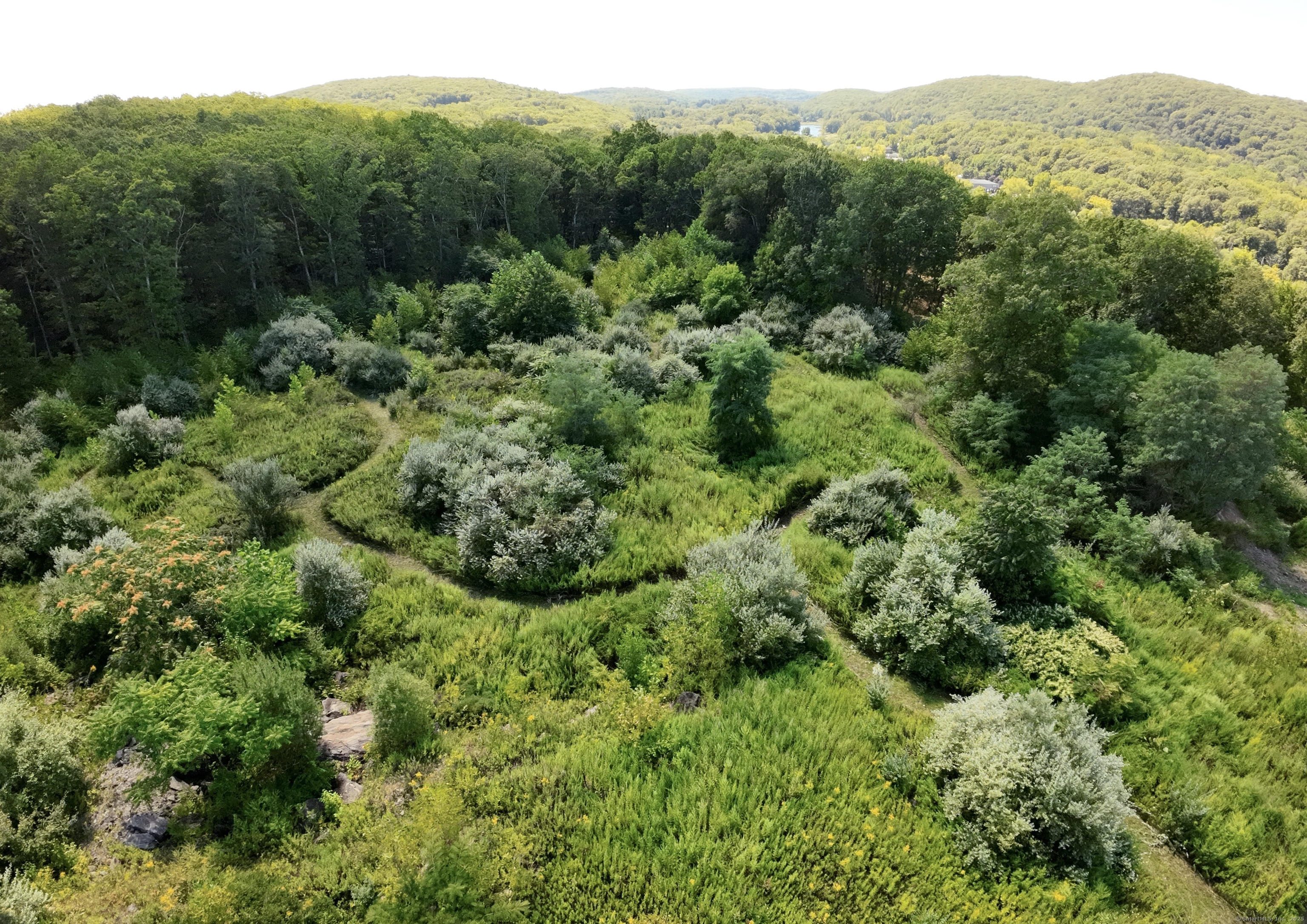 Undisclosed Address Bethel, CT 06801 - Photo 4 of 13 a view of a green field with lots of trees
